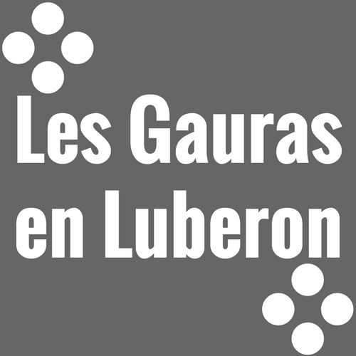 Les Gauras en Luberon
